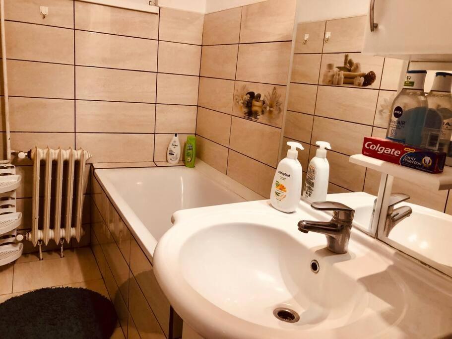 Nice Apt Near Spitalul Judetean, All You Need Lr14 Temešvár Exteriér fotografie