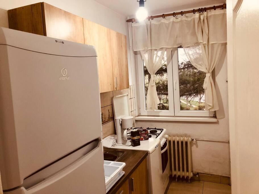 Nice Apt Near Spitalul Judetean, All You Need Lr14 Temešvár Exteriér fotografie
